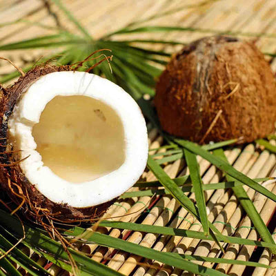 Sunkiss Coconut SPF 30 Suncare