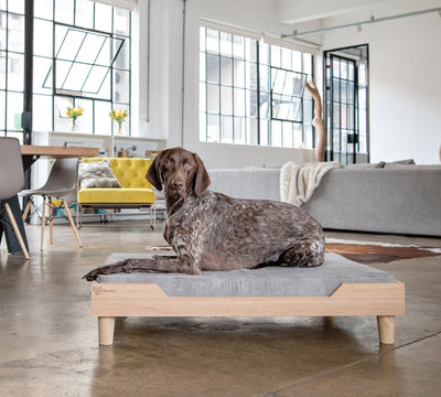 Charlie Large Bamboo Dog Bed