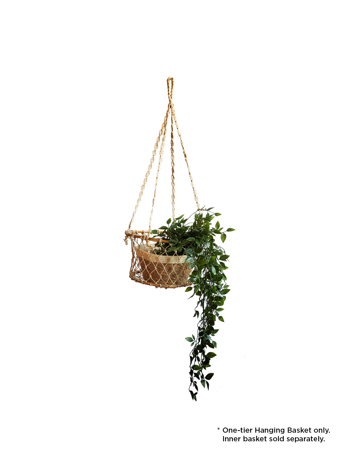 Jhuri Single Hanging Basket