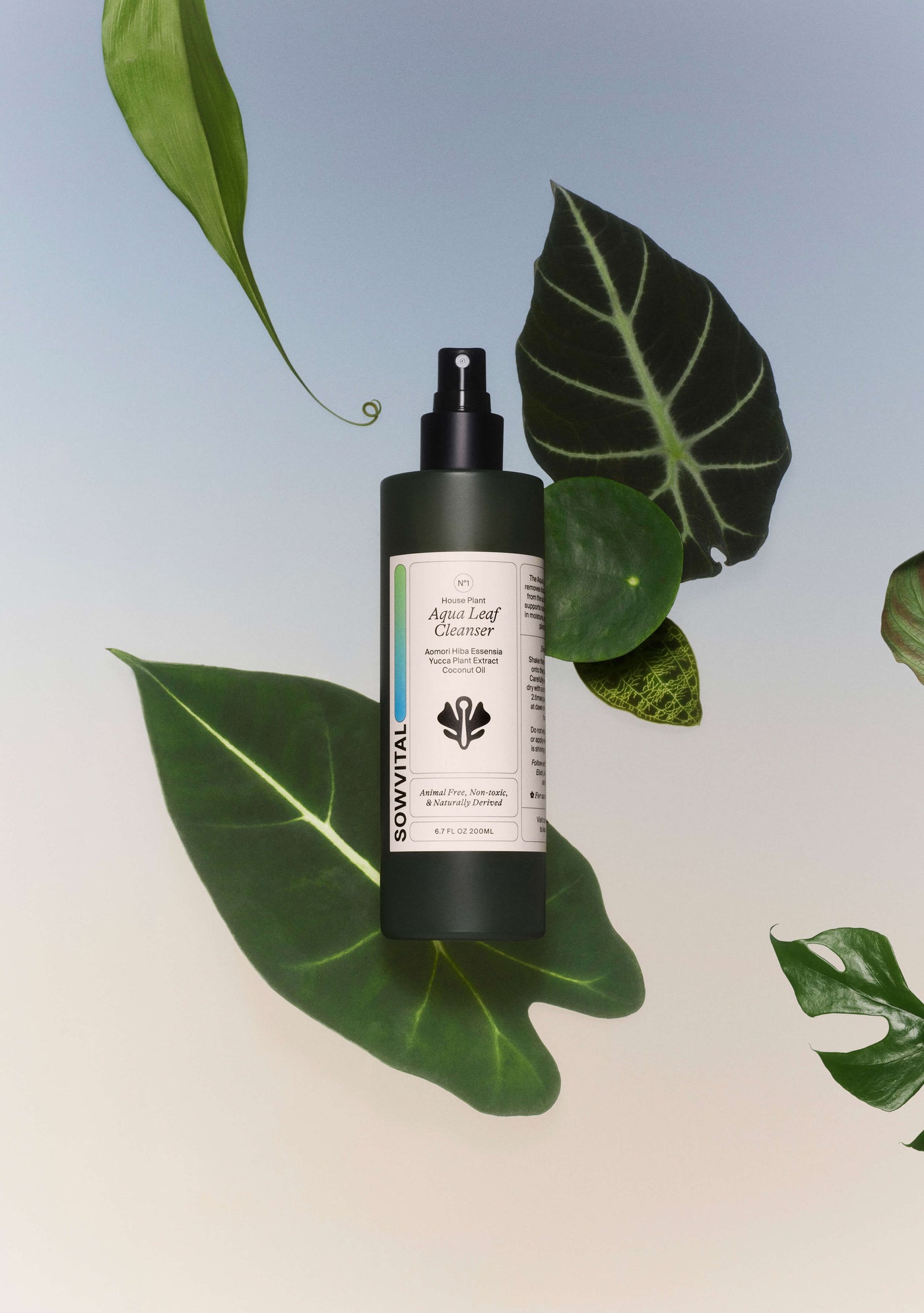 Aqua Leaf Cleanser