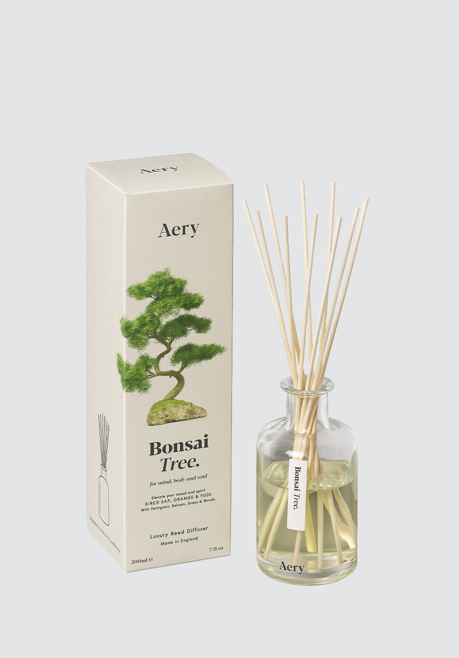 Bonsai Tree Reed Diffuser | Birch Sap Orange & Yuzu