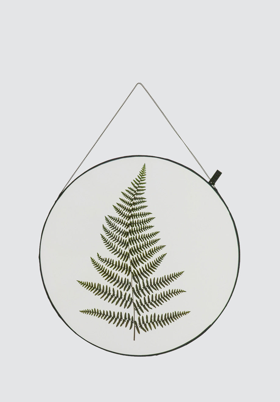 Life with Ferns Botanical Art | Round XL