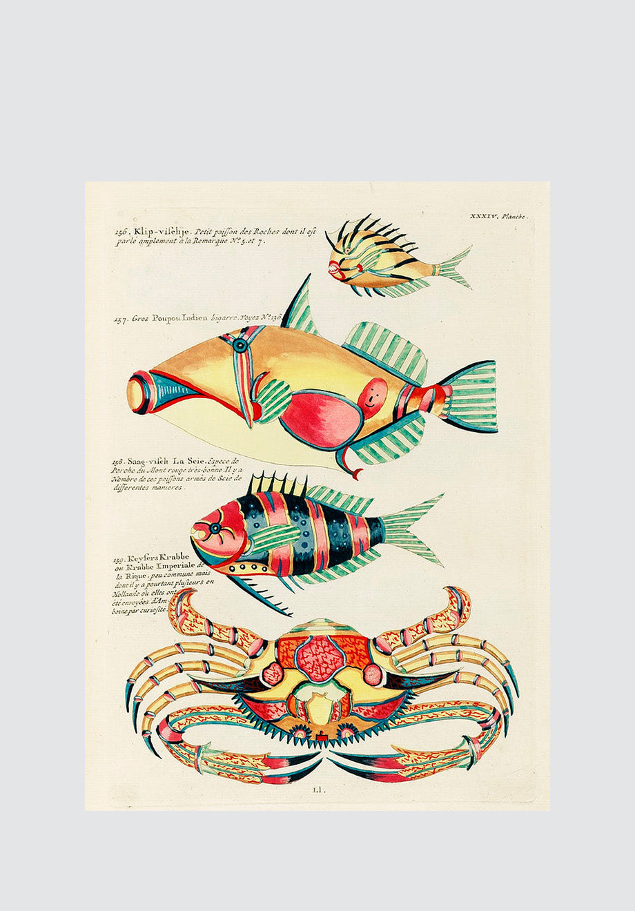 Surreal Tropical Fish 17 Print