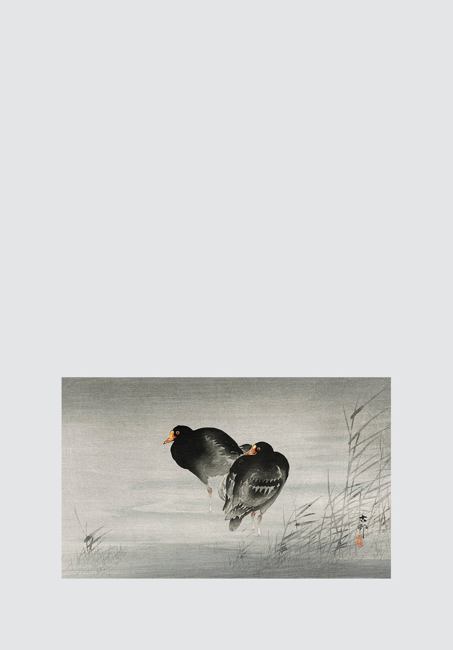 Japanese - Two Moorhen Print