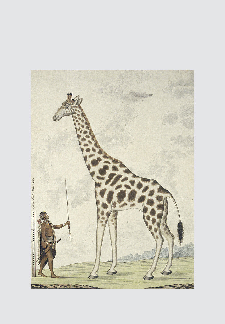 Giraffe And Tribesman Print