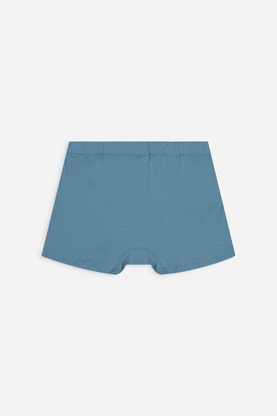 Boxers Briefs "m" | Blue